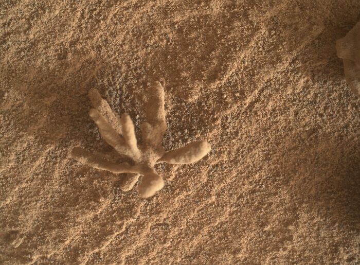 Close-up of a textured surface resembling a celestial formation in epic astronomy photos showing space mystery and beauty.