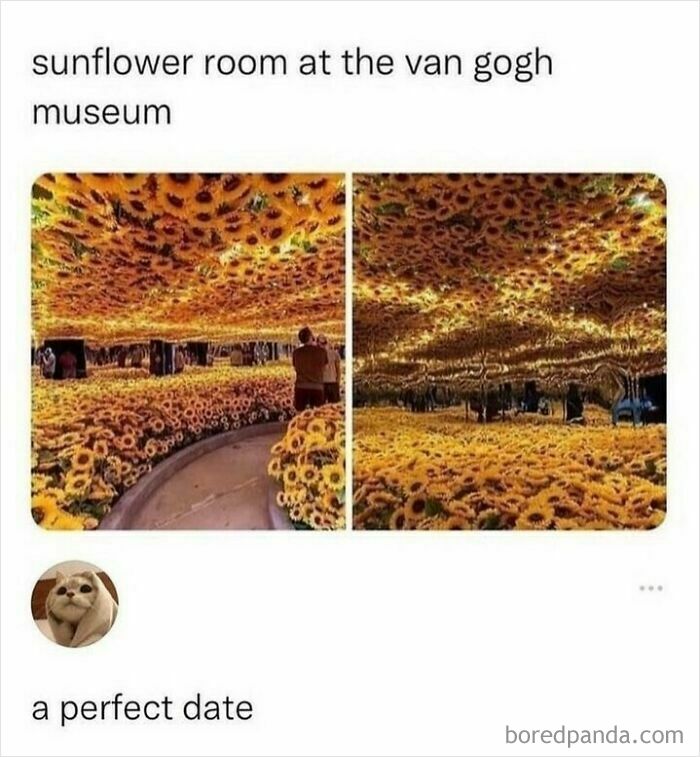 Sunflower room at the Van Gogh museum filled with bright yellow sunflowers creating a serotonin boost atmosphere.