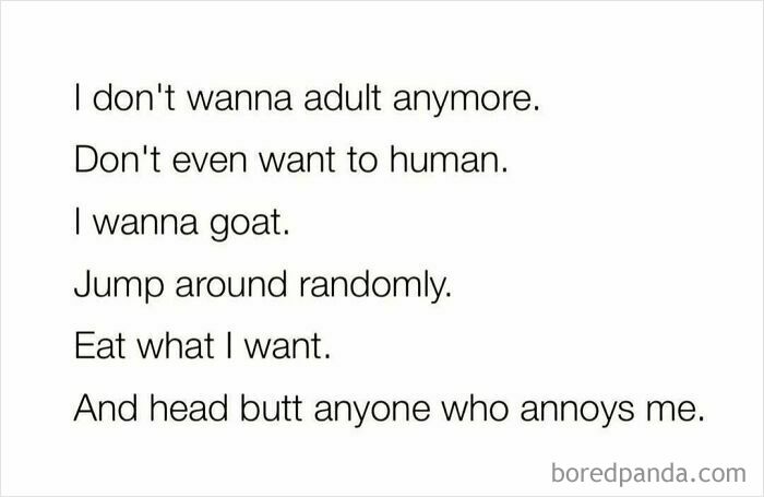 Funny text expressing desire to be a goat and boost serotonin with playful, random actions for a daily serotonin boost.
