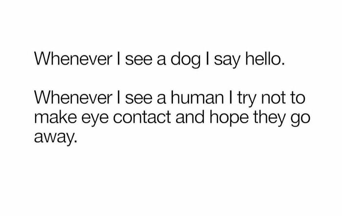 Text-based meme humor about preferring dogs over humans for a daily serotonin boost and social comfort.