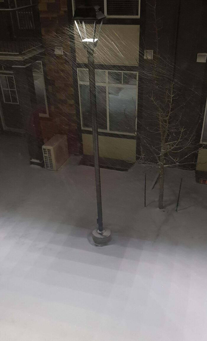 Street lamp shining through a snowstorm at night, creating an unphotoshopped pic that looks fake but is 100% real.