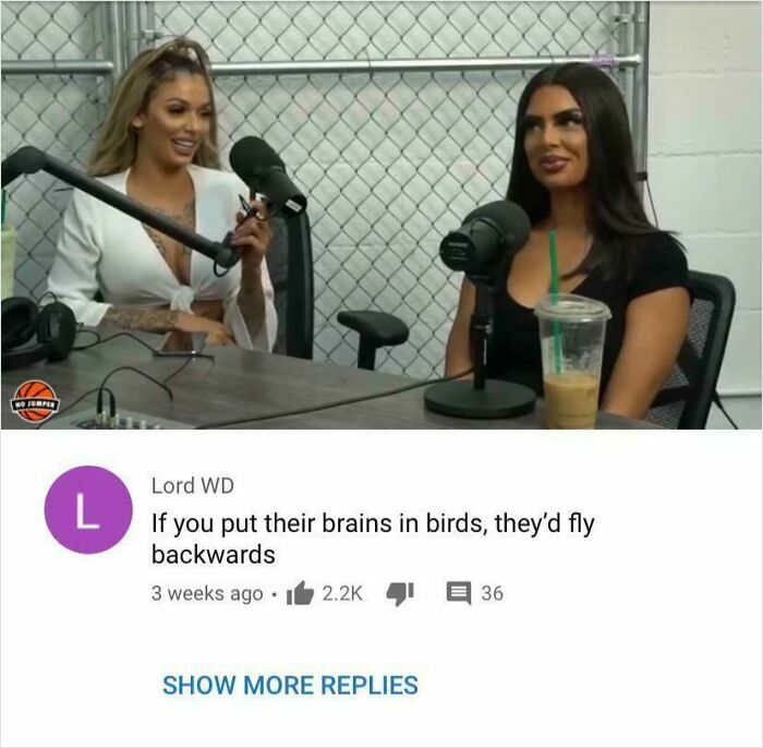 Two women podcasting with microphones while a hilarious YouTube comment about birds flying backwards is shown below.