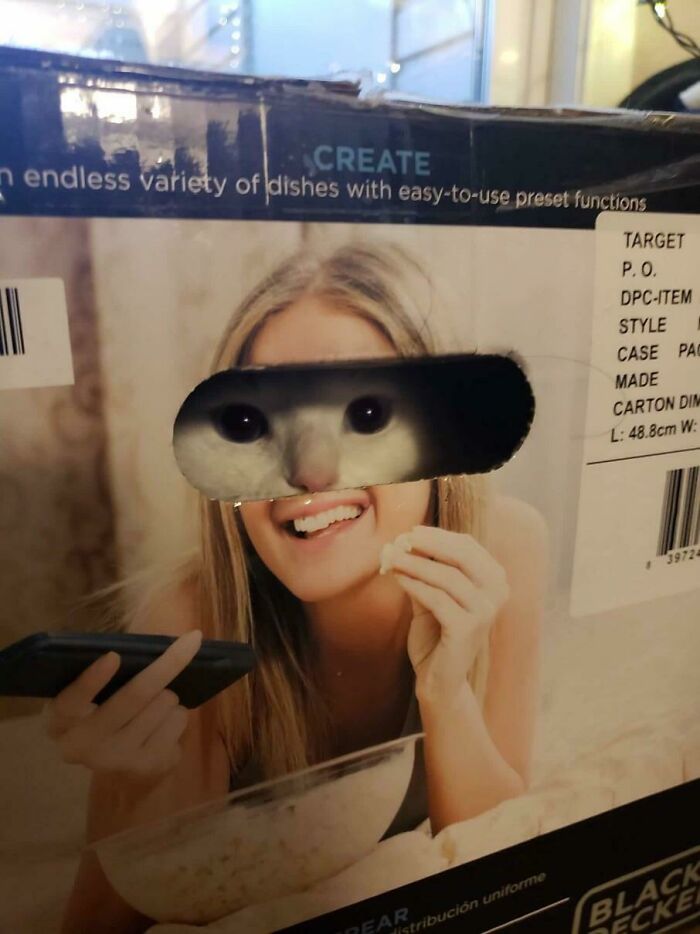 Cat's face perfectly aligned with box cutout on a hilarious post that accidentally became an instant meme.