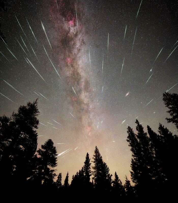 Meteor shower and the Milky Way visible above silhouetted trees in an epic astronomy photo showing space beauty and mystery