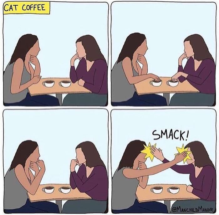 Two women in a comic strip having coffee and playfully smacking each other, showing relatable life absurdities.