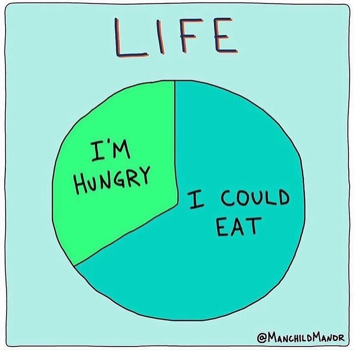 Pie chart comic illustrating relatable life absurdities dividing feelings between being hungry and wanting to eat more.