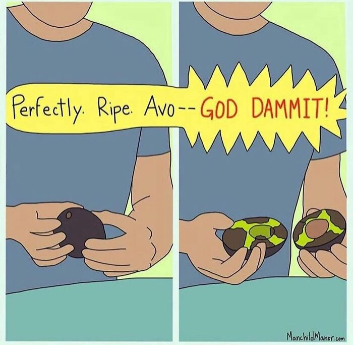 Comic showing relatable life’s little absurdities of ripe avocado turning bad inside, with person frustrated holding it.