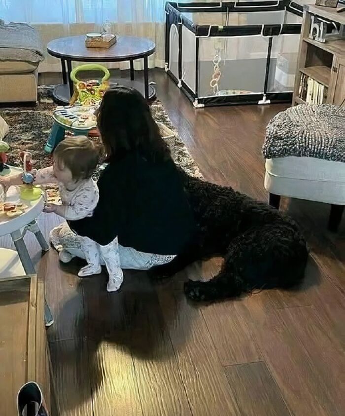 Child playing at a table with an adult while a large black dog lies on the floor, captured in an out of context moment.