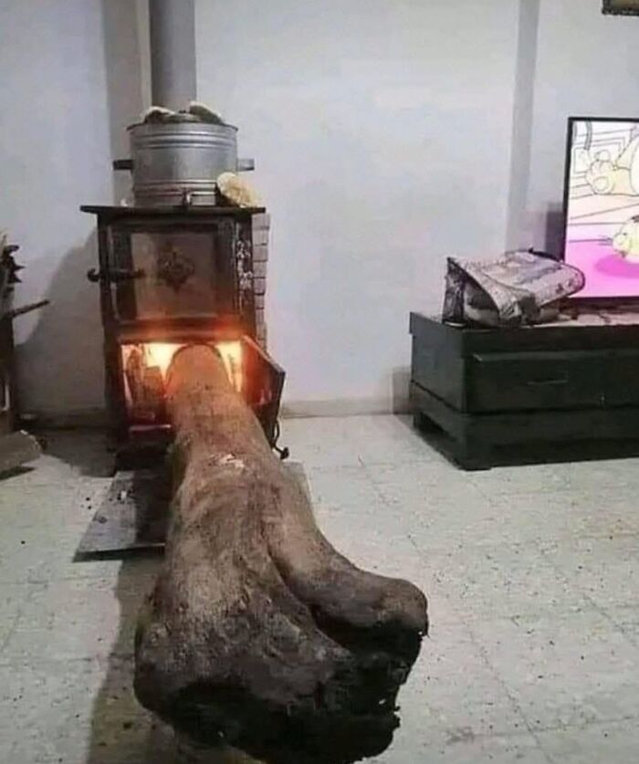 Large wooden log burning in a stove inside a living room, an out of context image linked to pleasures of the occult.