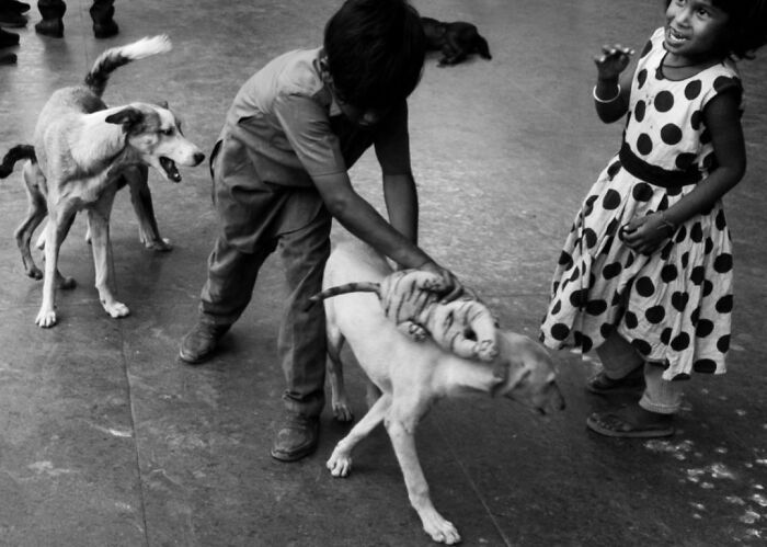 Children playing with street dogs on city pavement, capturing candid moments of daily life in street photography awards.
