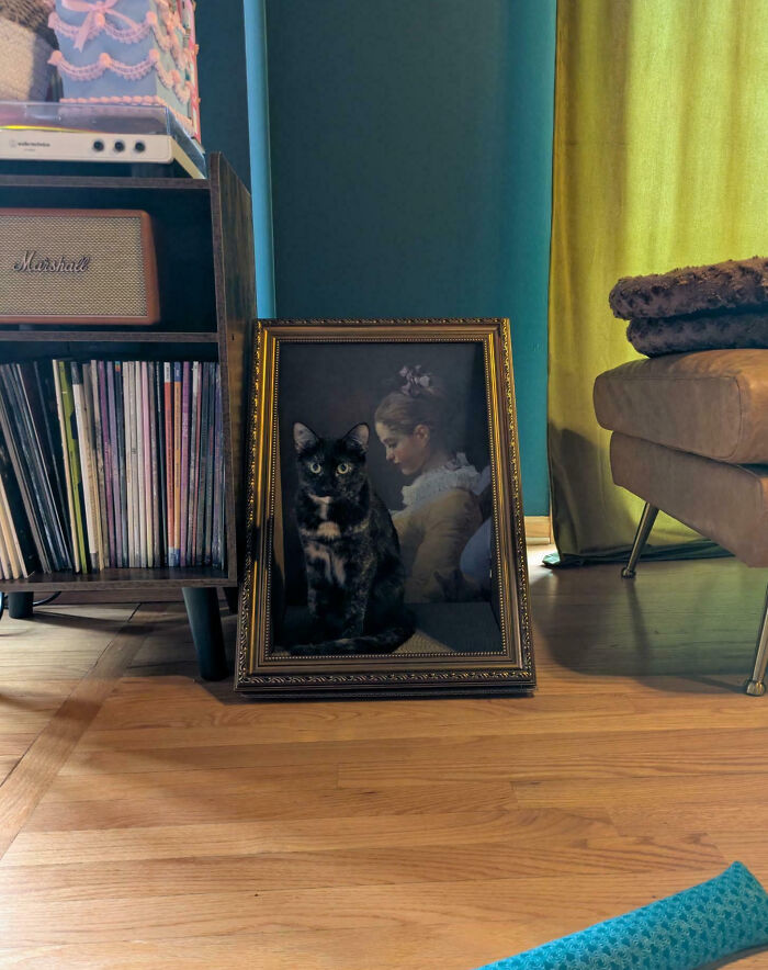 Tortoiseshell cat blending with a framed portrait placed on a wooden floor between furniture in a cozy room.