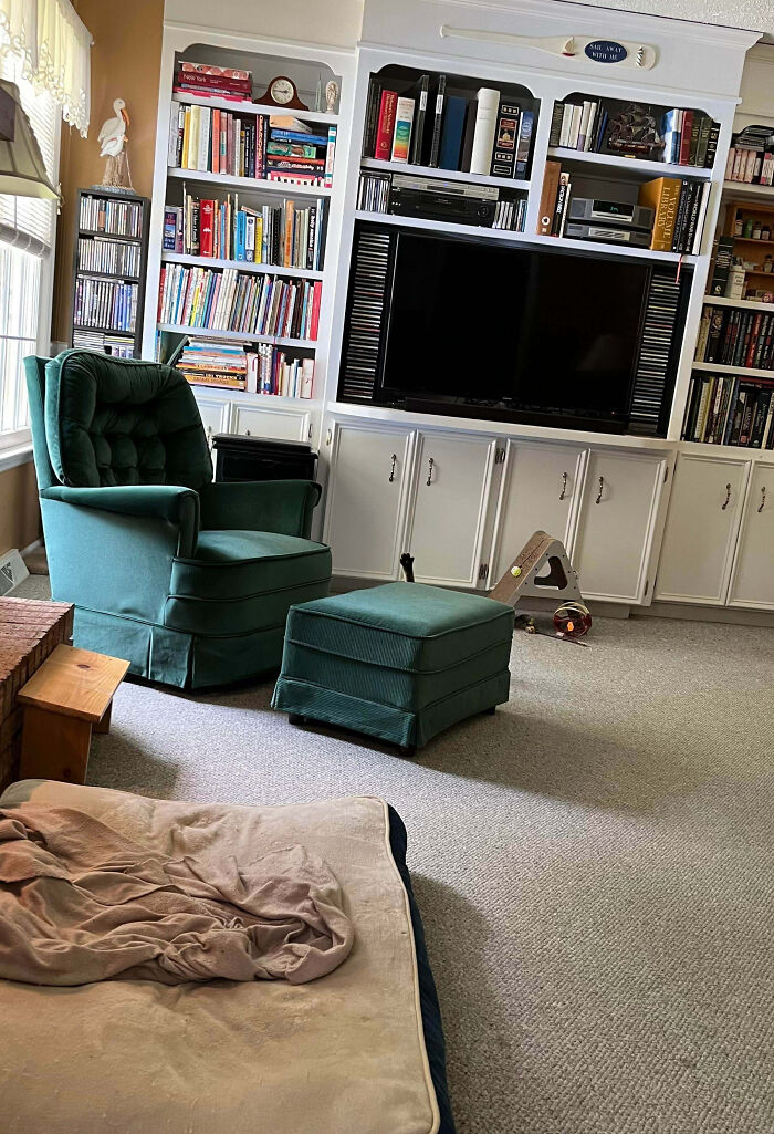 Cat blending into the carpet in a cozy living room with green chair, ottoman, and white built-in bookshelves.
