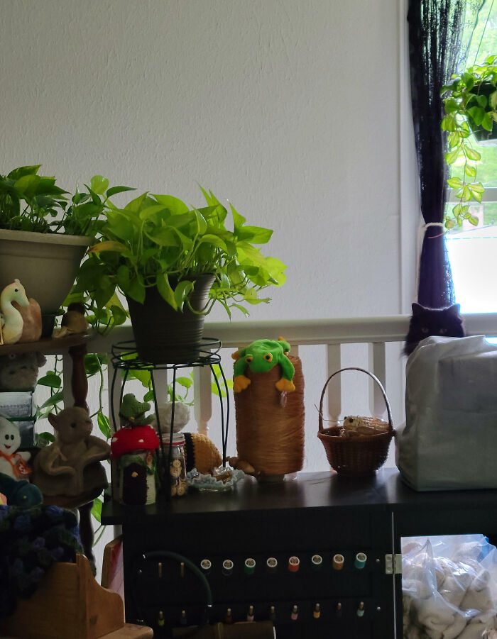 Black cat blending into the dark background near a window among plants and various household items indoors.