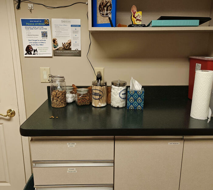 Cat blending into the background on a counter with jars and medical supplies in a clinical or veterinary setting.