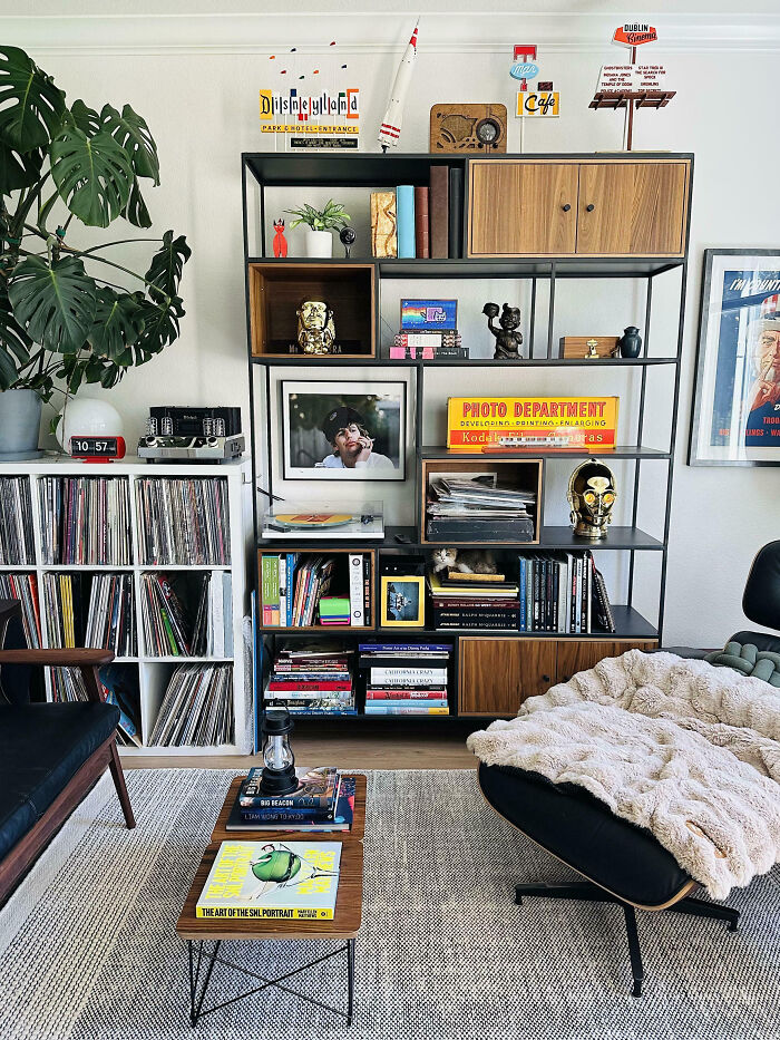 Cozy living room with a cat seamlessly merged into the background among books and decorative items on a modern shelf.