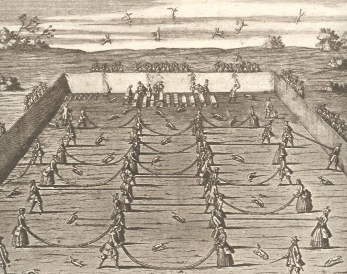 Vintage illustration of a dangerous historical sport involving multiple participants and animals in an enclosed field.