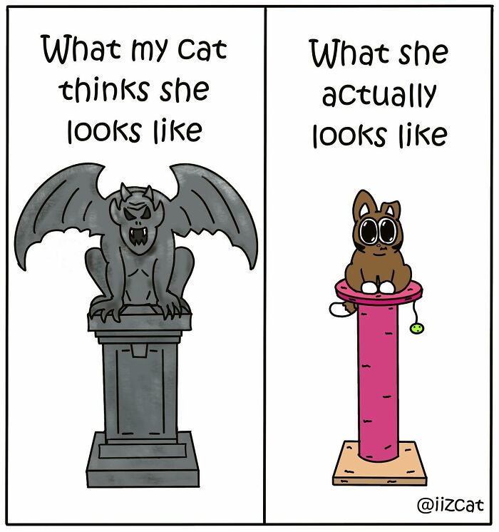 ‘I Iz Cat’: How A Rescue Cat Inspires Hilarious And Heartwarming Comics About Everyday Life