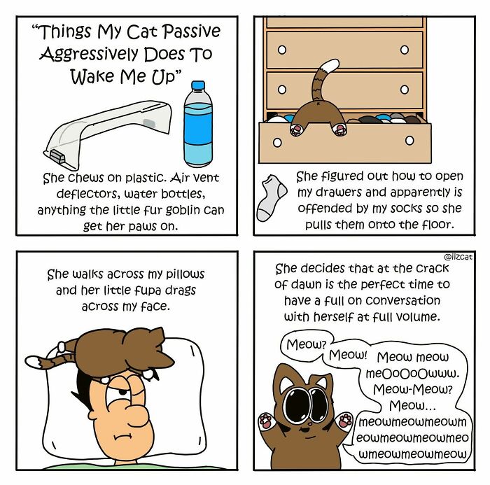 ‘I Iz Cat’: How A Rescue Cat Inspires Hilarious And Heartwarming Comics About Everyday Life