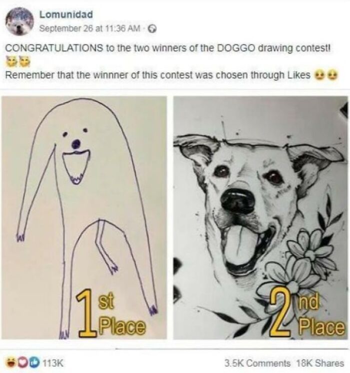 Two winning dog drawings from a contest, one hilariously simple and one detailed, becoming instant hilarious meme posts.