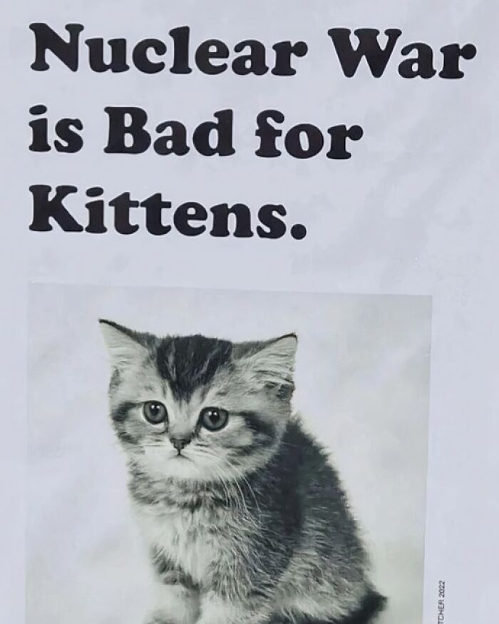Black and white photo of a kitten under text about nuclear war, showing cats being their hilarious and weird selves.