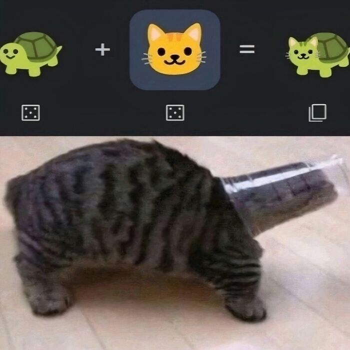 Tabby cat with head stuck inside a clear container, showcasing one of the hilarious and weird selves of cats.