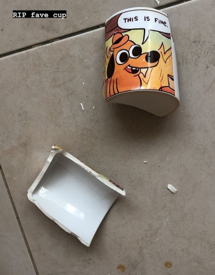 Broken mug with a popular meme design lying on the floor, illustrating posts so hilarious they became instant memes.