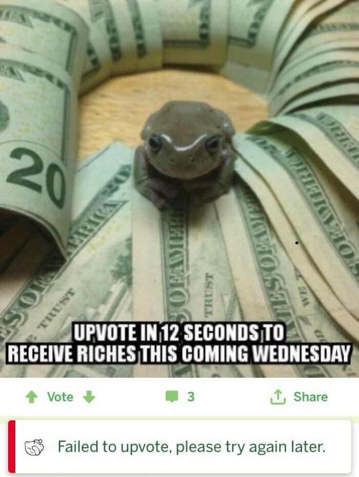 Small frog sitting on folded US dollar bills in a hilarious post that became an instant meme about receiving riches.