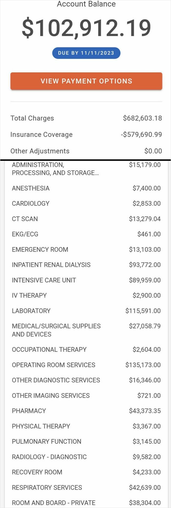 Medical bill showing $102,912 balance after insurance with detailed charges, highlighting harsh realities of American healthcare costs.