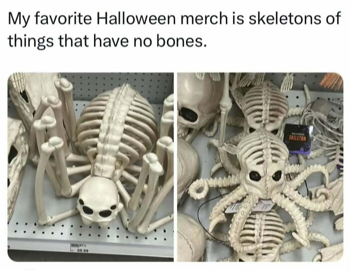 Animal-Humor-Pics-Animalxhumor