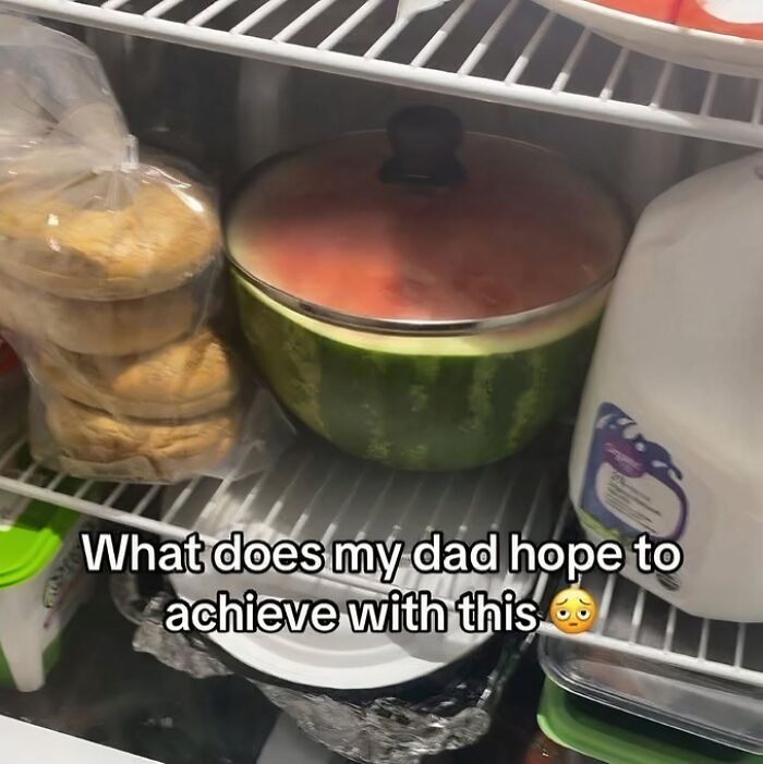Refrigerator with a covered watermelon, milk, and bag of bagels, featuring a funny meme about dad’s fridge habits.