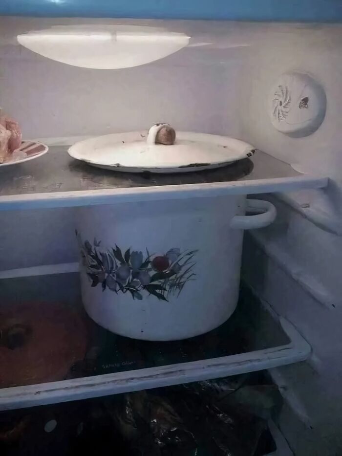 Inside a fridge, a pot with a lid is placed upside down on a plate, creating a humorous meme-worthy scene.