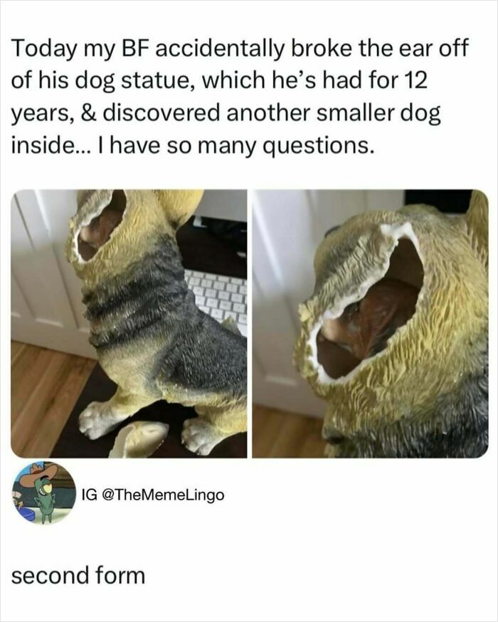 Animal-Humor-Pics-Animalxhumor