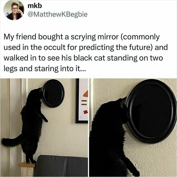 Animal-Humor-Pics-Animalxhumor