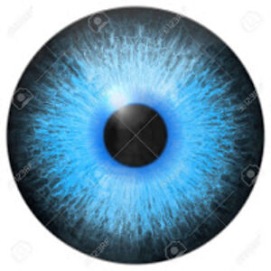 davidkramer_2 avatar