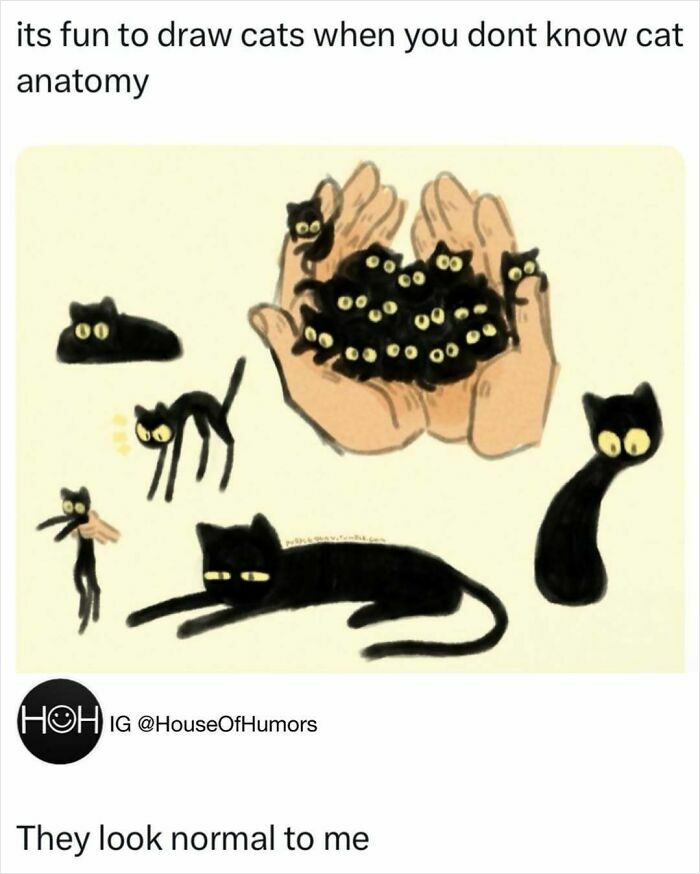 Animal-Humor-Pics-Animalxhumor