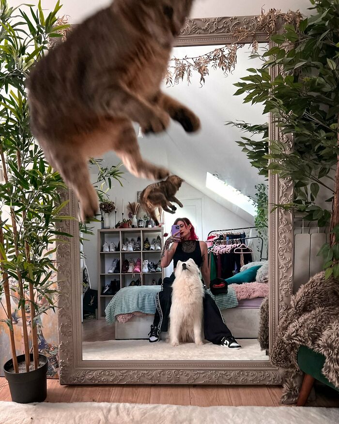 Cat photobomb mid-jump in a mirror selfie with a woman and her dog, showcasing a perfect photobomb moment.