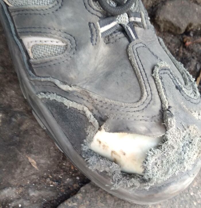Worn-out shoe with torn fabric revealing foam padding, one of the mildly infuriating things that tested patience.