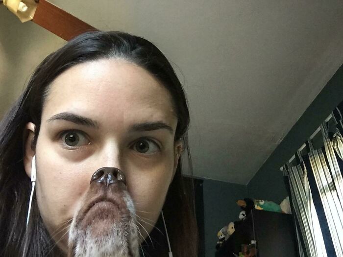 Woman with earphones posing for a photobomb where a dog's snout aligns perfectly with her nose for a funny effect.