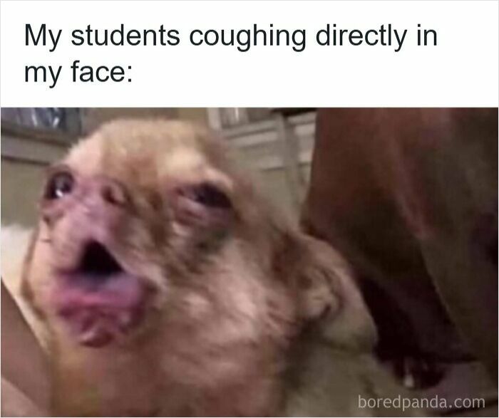 Tired dog meme captioned with students coughing in teacher's face, illustrating funny memes for teachers who deserve a raise.