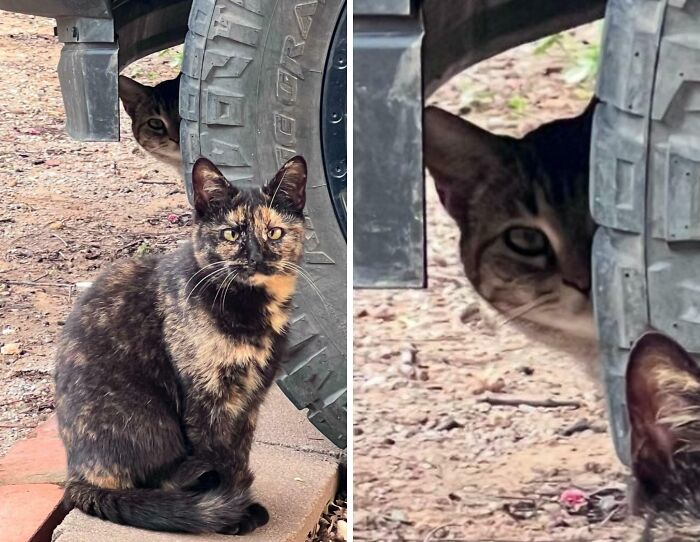 Photo Bombed By Her Sister