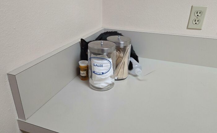 Black cat blending into the shadows behind medical jars on a white countertop, showcasing seamless cat camouflage.