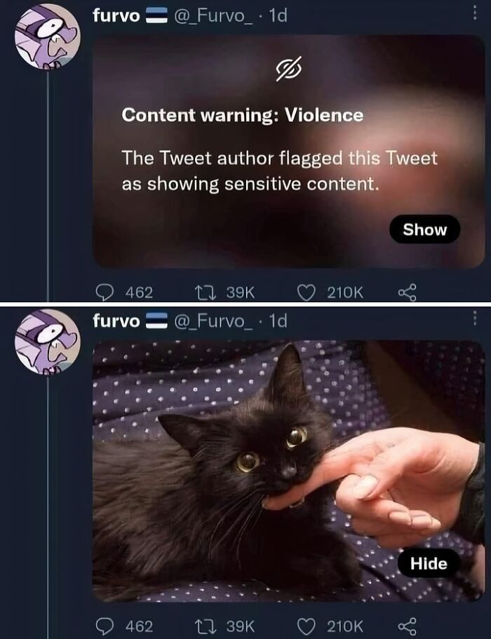 Black cat biting a finger playfully, one of the goofy cats completely unaware of its silly behavior.