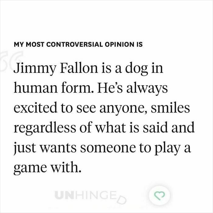 Controversial opinion text from dating app screenshot describing Jimmy Fallon as a dog in human form, humorous post.