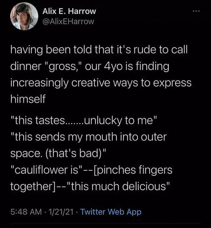 Tweet showing a 4-year-old creatively expressing dislike for dinner, illustrating kids outsmarting grown-ups humorously.