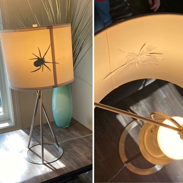 Shadow of a fake spider on a lamp shade cleverly created by a child to outsmart grown-ups in an entertaining way.