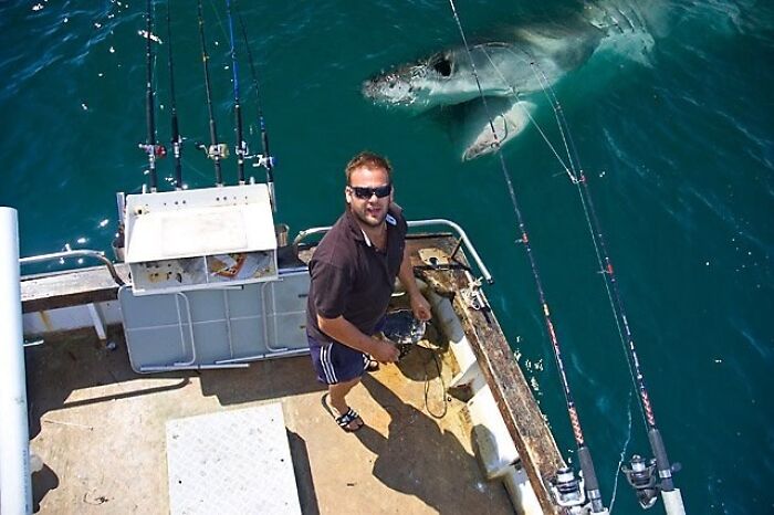 Man on fishing boat unaware of great white shark photobombing close behind in ocean water.