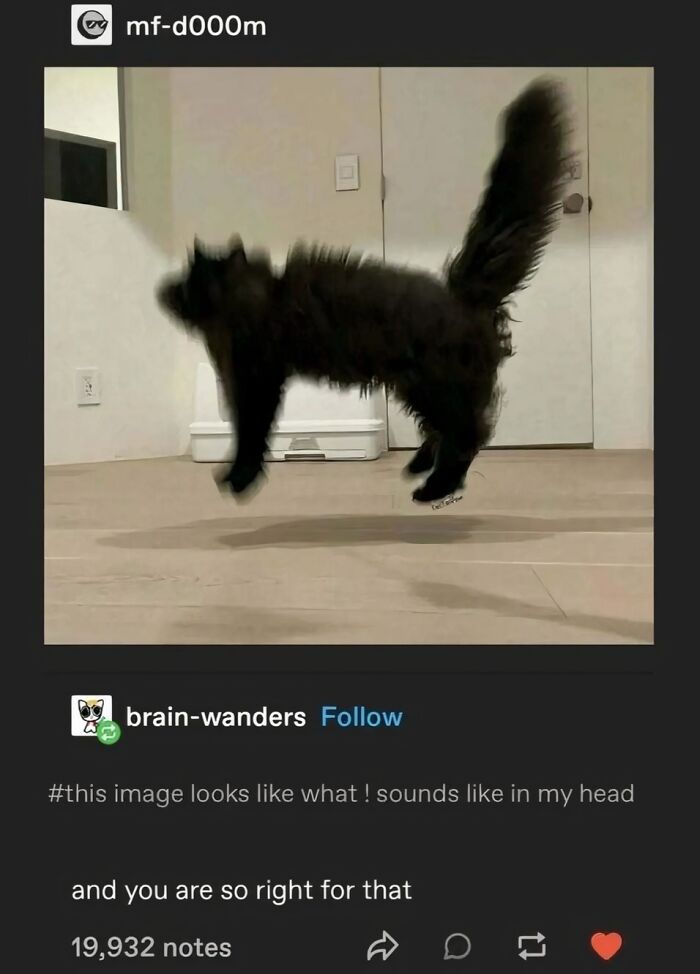 Black cat mid-jump with fluffed tail indoors, showcasing goofy cat behavior captured in motion.