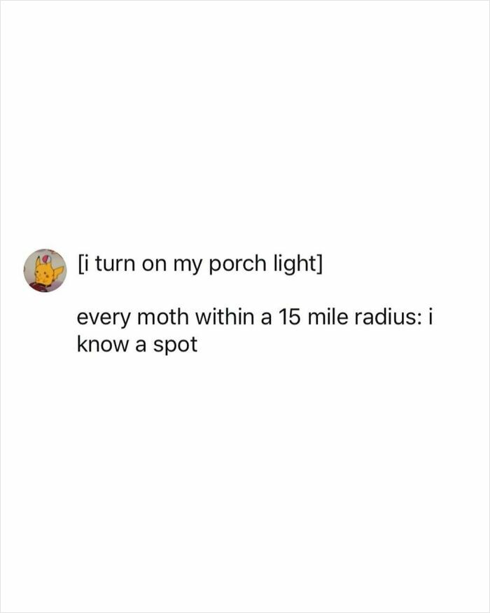 Tweet showing chaotic humor about moths attracted to porch lights within a 15 mile radius, reflecting studied humor style