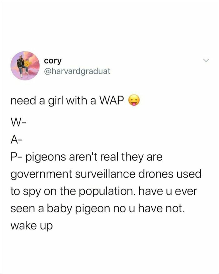 Tweet humorously claims pigeons are government drones, fitting chaotic tweets with hilarious, unexpected conspiracy humor.