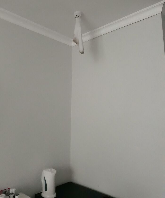 White sock hanging from ceiling corner, a mildly infuriating thing testing people’s patience in a plain gray room.